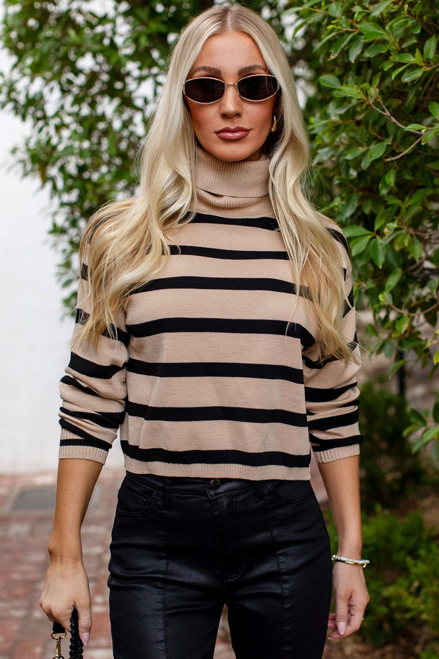 Black & Khaki Turtleneck Sweater
