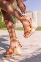 Orange Wedges
