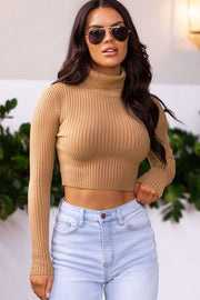 Camel Ribbed Crop Turtleneck Top